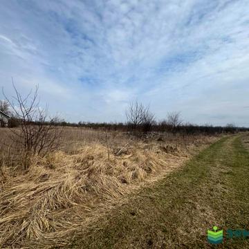 Стебник, Івано-Франківський, Івано-Франківська область 10000.0 USD