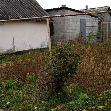 біліченко, 9