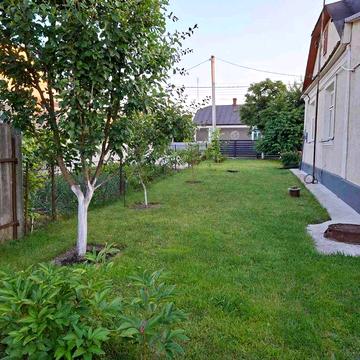 Продається домогосподарство в смт. Демидівка