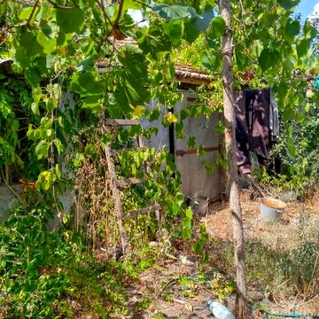 Сдам дом-дачу. Не дорого.