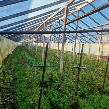 Продам дом с теплицами