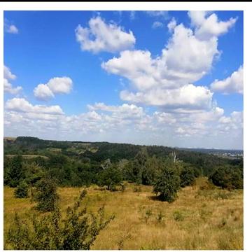 Підгірці, Обухівський, Київська область 29400.0 USD