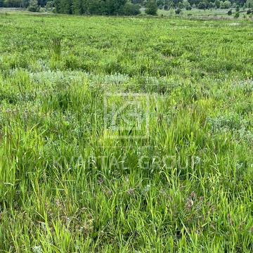 Бузова, Бучанський, Київська область 17000.0 USD