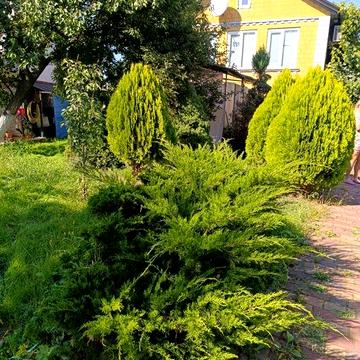 Продаж дачі в районі Осокорки,Ніжні сади,м.Київ Дарницький р-н