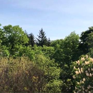 Двокімнатна квартира ЖК Затишок