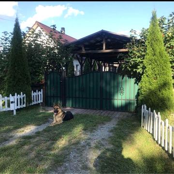 Продаються ДВА  Будинки з землею і господарством