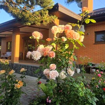 Твій спокій та затишок. Будинок біля лісу.