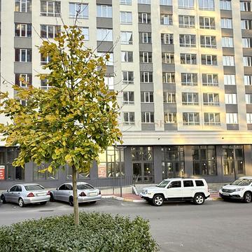 Університетська вул., 1Т