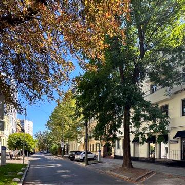 Здам 2 кімнатну квартиру біля парку Шевченко