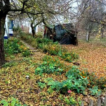 Будинок ,с.Фарбоване 10км від Яготина