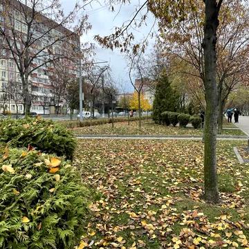 Миру просп., 71