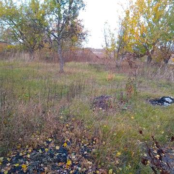 Продам дачу в садовом товариществе