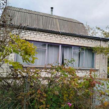 (8) Продам дачний будинок в с. Сальник 8614