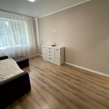 Оренда 1к квартири біля Центрального парку