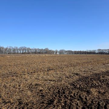 Бориса Гмирі