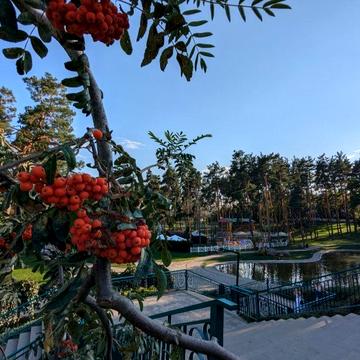 Продаж будинку - таунхаусу біля парку Незнайко