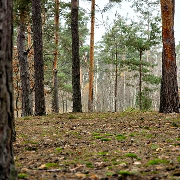 Львівська, 36