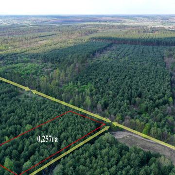 Жорнівка, Фастівський, Київська область 1000.0 USD