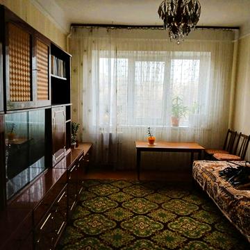 Петра Курінного вул. (Комісара Рикова), 5