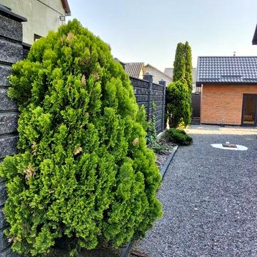 Здам будинок 30 метрів ²