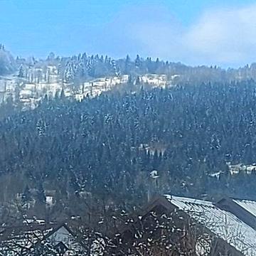 Квартира в Яремче.