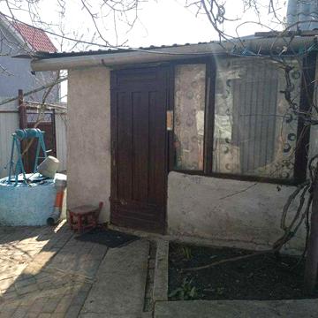 Дача возле леса Алтестово