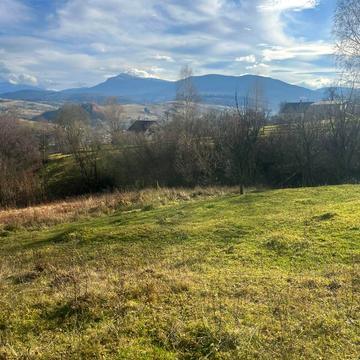 Ясіня, Рахівський, Закарпатська область 56892.0 USD