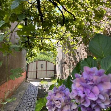 Будинок з потенціалом під житло чи бізнес рн вул. Руськоі