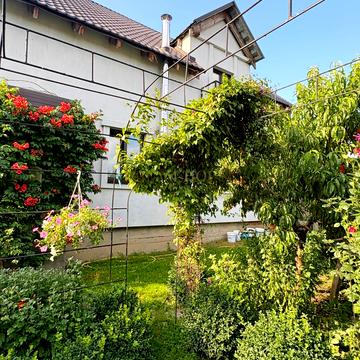 Ярослава Мудрого