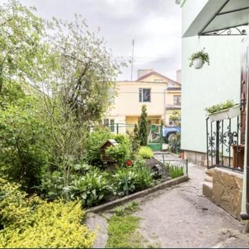 Папоротна, 11