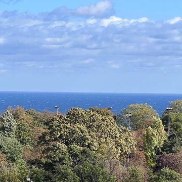 Шевченка просп., 29/1