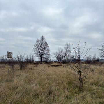 Тячів, Тячівський, Закарпатська область 30000.0 USD