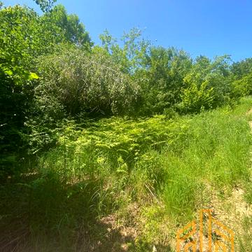 Солочин, Мукачівський, Закарпатська область 40000.0 USD