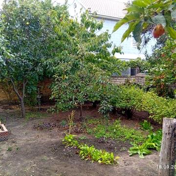 Дом с землёй у моря. (SH-212-581)