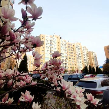 Героїв Небесної Сотні просп., 26/13