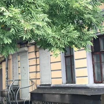 Мясоєдовська вул., 37