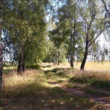 Павла Тичини, 7