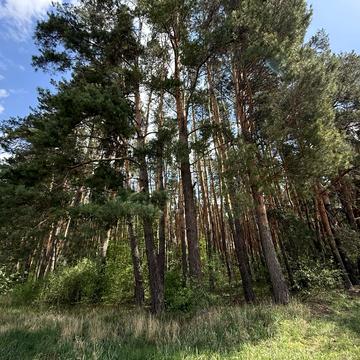 Слобідська вул., 15