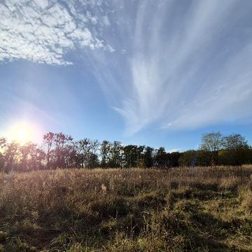 Михайлівка-Рубежівка, Бучанський, Київська область 14500.0 USD