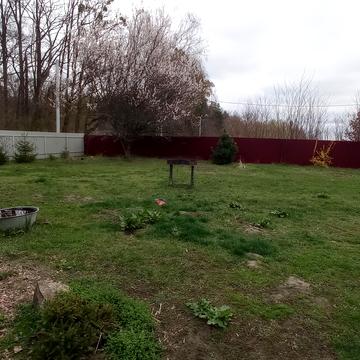 Кичеївська