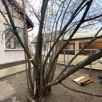 Добробатів вул. (Іларіонівська)