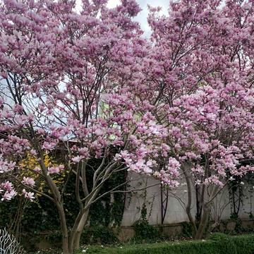 Баштанная, 6