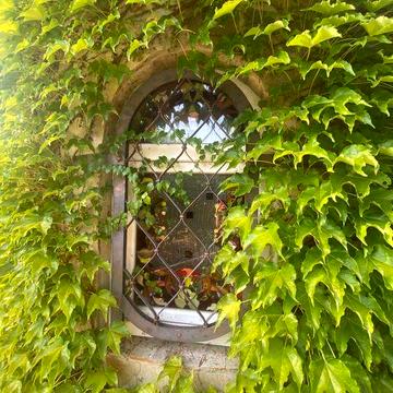 Продажа дома со своим берегом