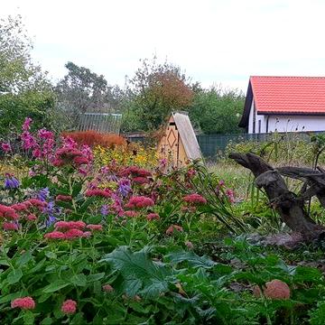 Продаж дачі МРІЯ ліс озера пляж курорт 44м 9сот ландшафт