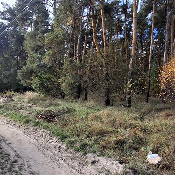 Михайлівка-Рубежівка, Бучанський, Київська область 19000.0 USD