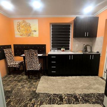 Здається однокімнатна квартира