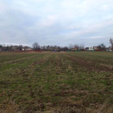 Микуличі, Бучанський, Київська область 12000.0 USD