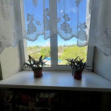 сдам 1-к квартиру пр. Слобожанский, Правды, Центр