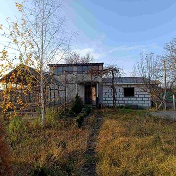 Дача в товаристві Юність2