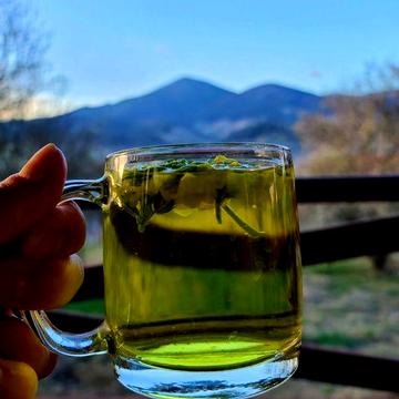 Будинок в Карпатах . Будинок в Верховині. . Етно-готель або житло.